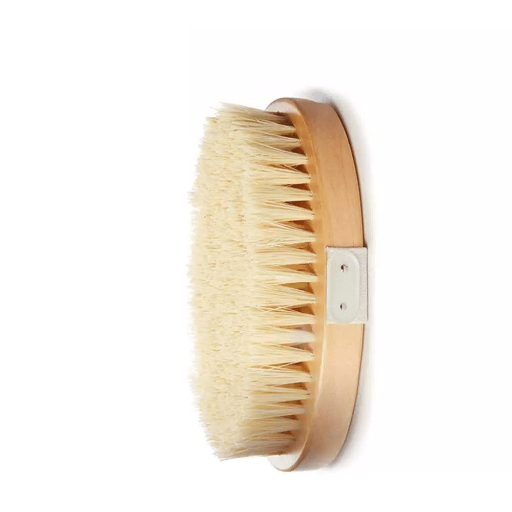 Dry Body Brush Dry Body Brush