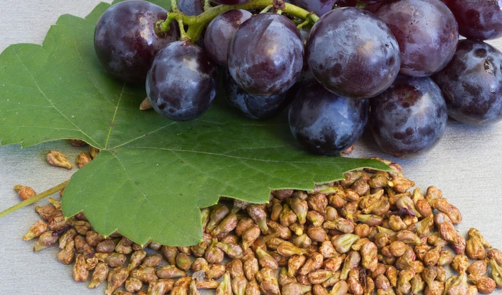 Traubenkerne: Das Superfood für die Gesundheit