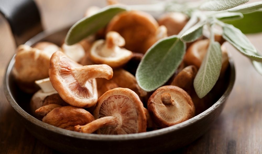Shiitake: Das Superfood der asiatischen Küche