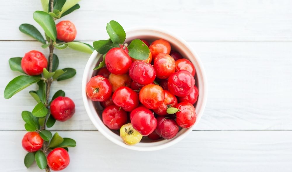 Acerola: Das Superfood mit reichlich Vitamin C