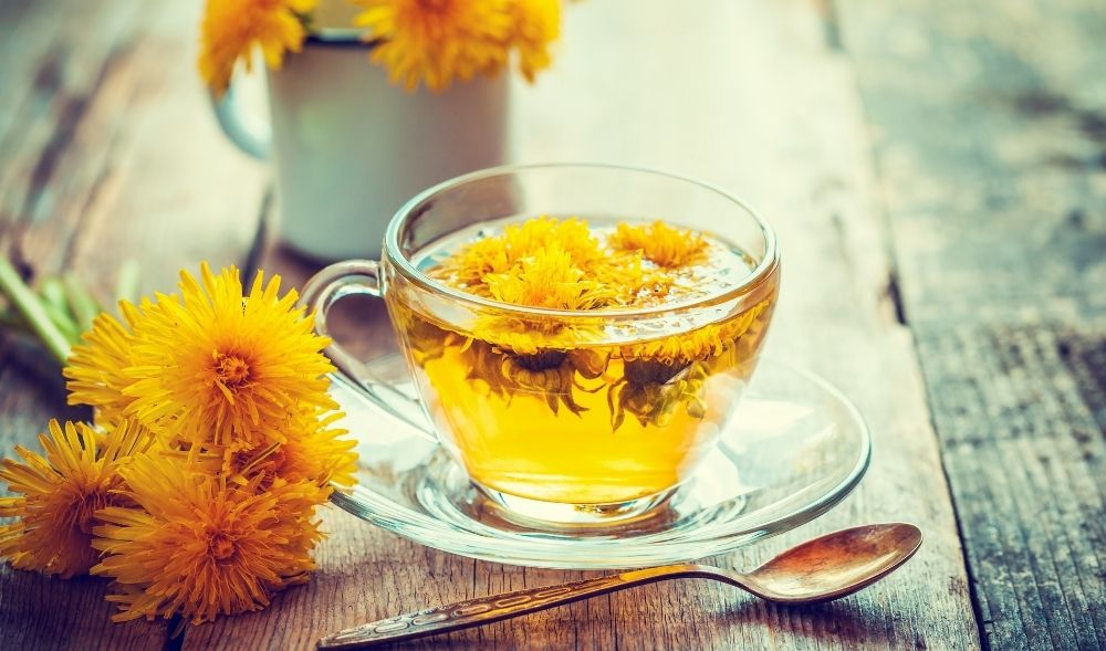 Löwenzahn: Das Superfood aus dem Garten
