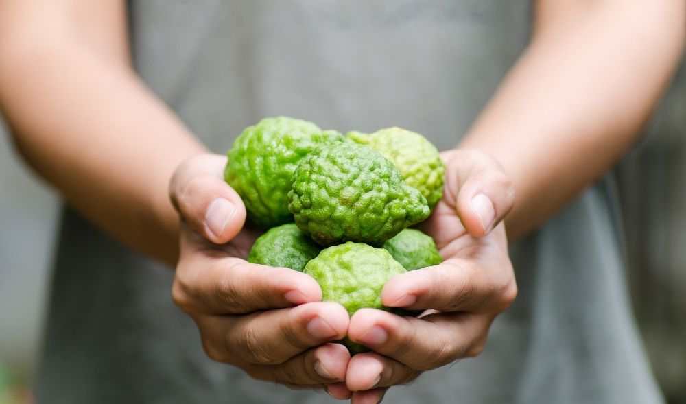 The beauty ABC: bergamot
