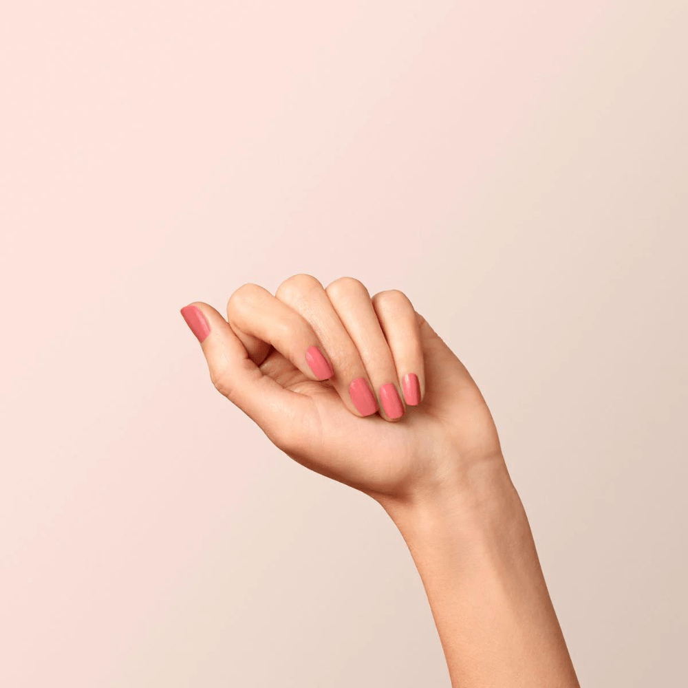 BoisDeRose2-minN6ubD3aWZIG6C