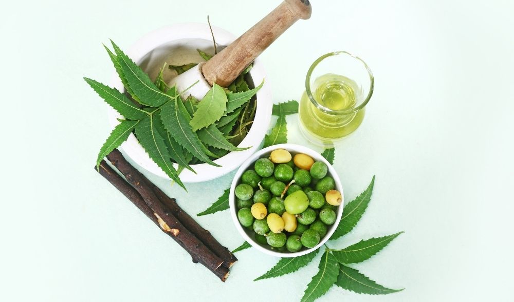 Ayurvedisches Wasser – Die Vorteile für den Körper