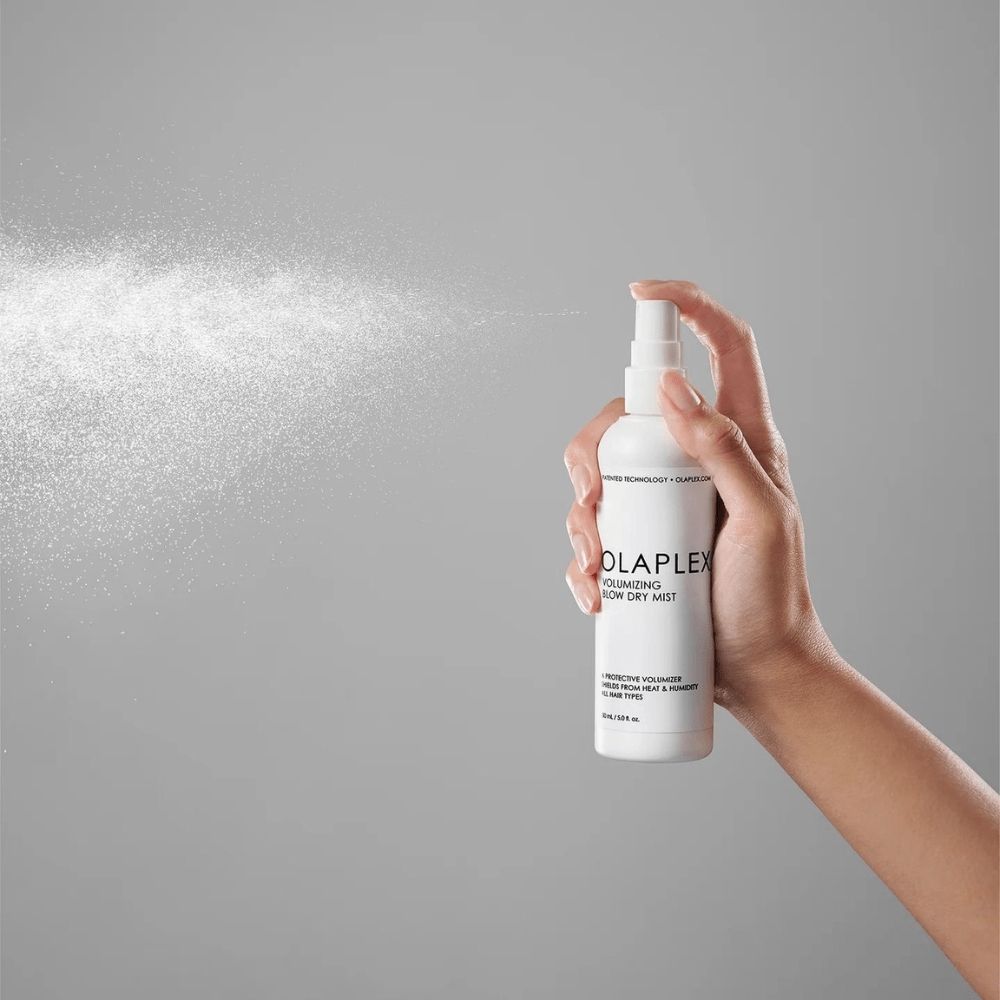 BlowDrySpray2-min