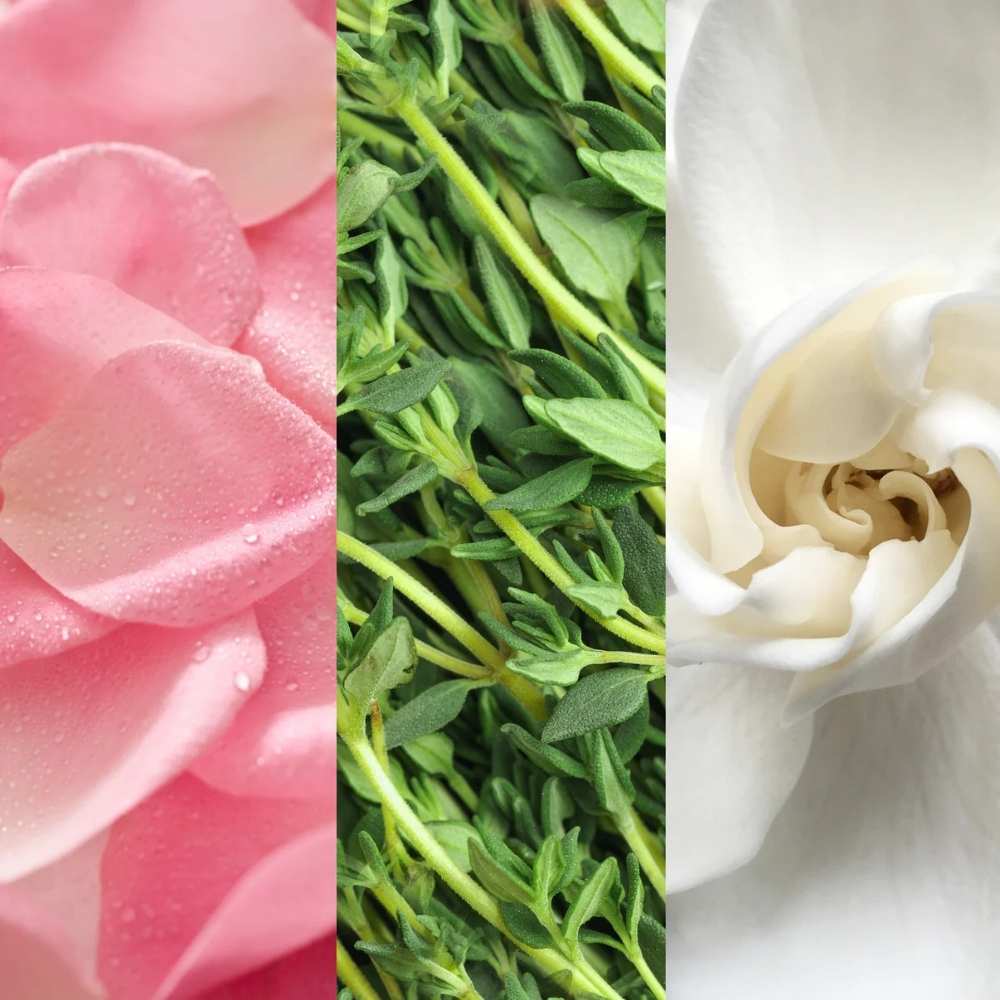 Facial Spray with Aloe, Herbs and Rose Water 59ml