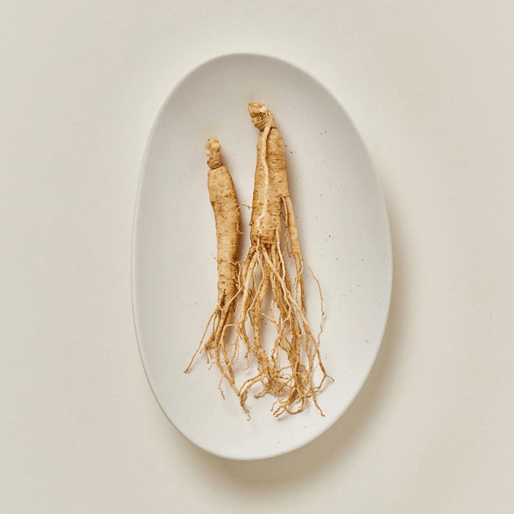 GinsengMoistSunSerum4-min